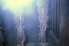 image0053