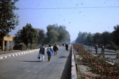 image0071